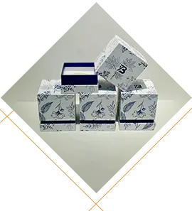 Caixas de presente com tampas