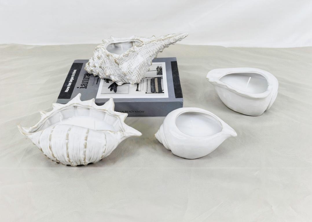 Castiçais vêm em vários formatos. Você já viu um em forma de concha?